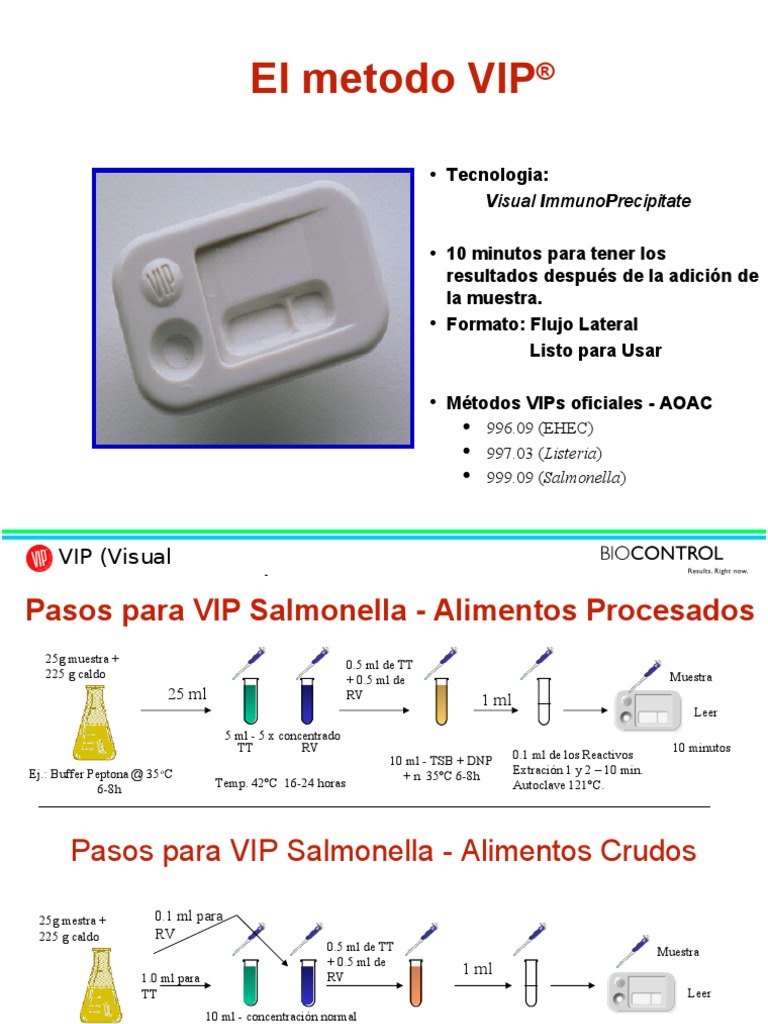 VIP en Español para Workbook | PDF | Ciencias de la vida | Microbiología