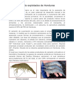 Crustáceos Más Explotados de Honduras