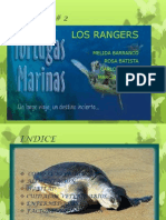 Las Tortugas