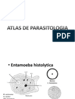 Atlas Parasitologia