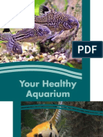 Healthy Aquarium