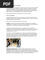 Curso de cerimonialista.docx