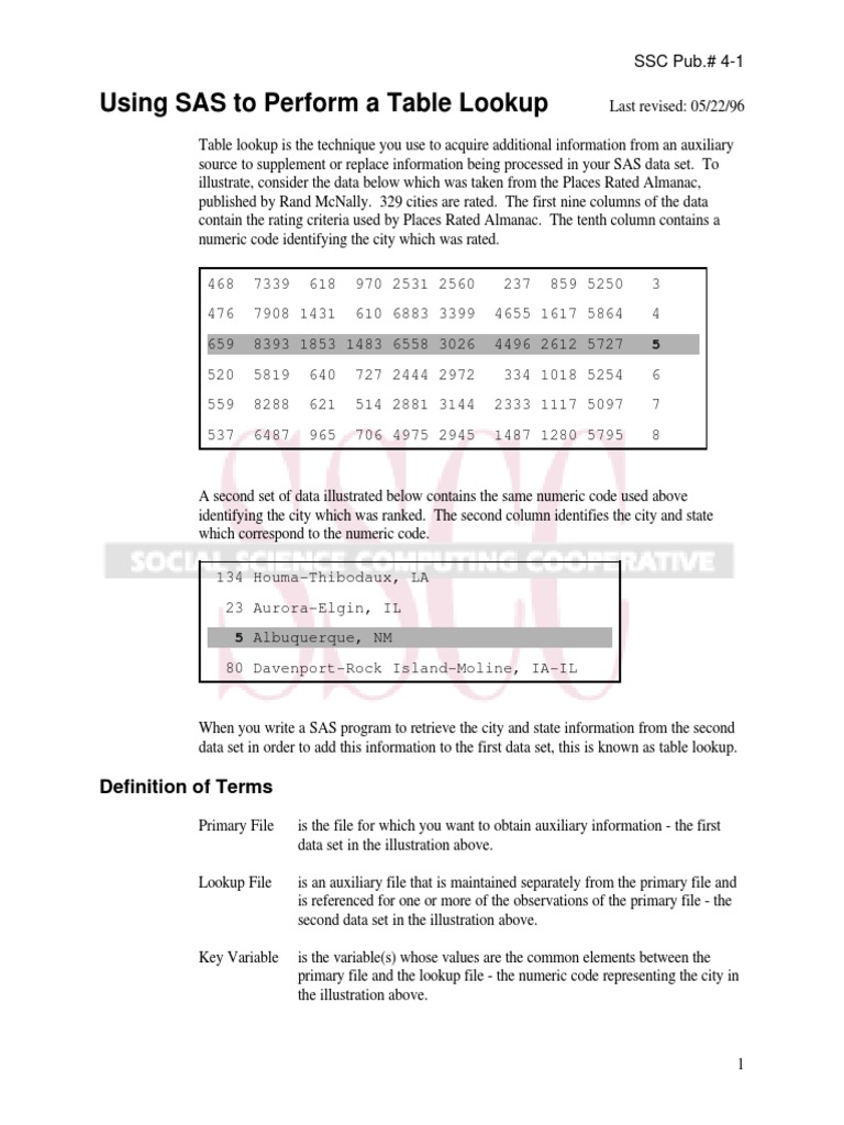 SAS Table Lookup Techniques Guide | PDF | Computers