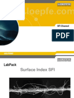 4_Oberflächenindex SFI E