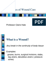 Principles of Wound Care: Professor Claire Hale