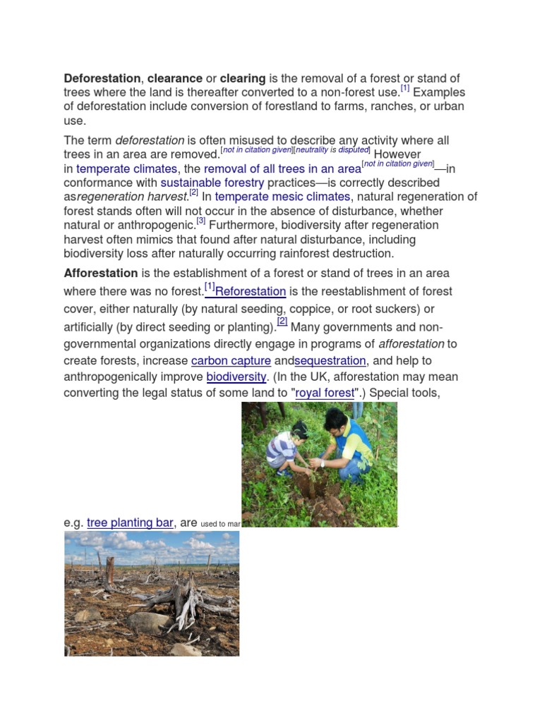 Deforestation, Clearance or Clearing Is The Removal of A Forest or ...