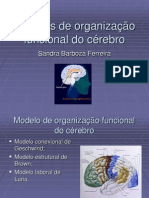 Modelos de organização funcional do cérebro