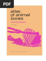 Atlas of Bones, Schmid | PDF