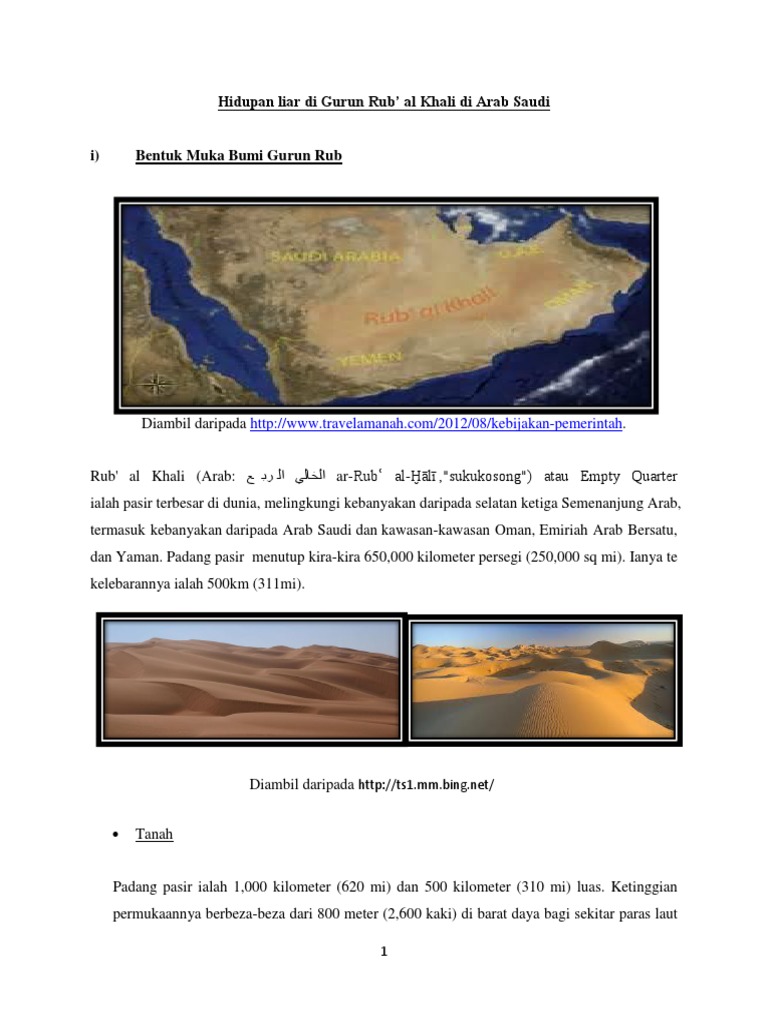 Hidupan Liar Di Gurun Rub