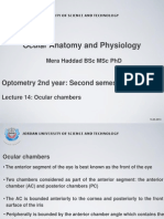 Ocular Anatomy and Physiology: Mera Haddad BSC MSC PHD