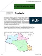 Gambella: Ethiopian Demography and Health
