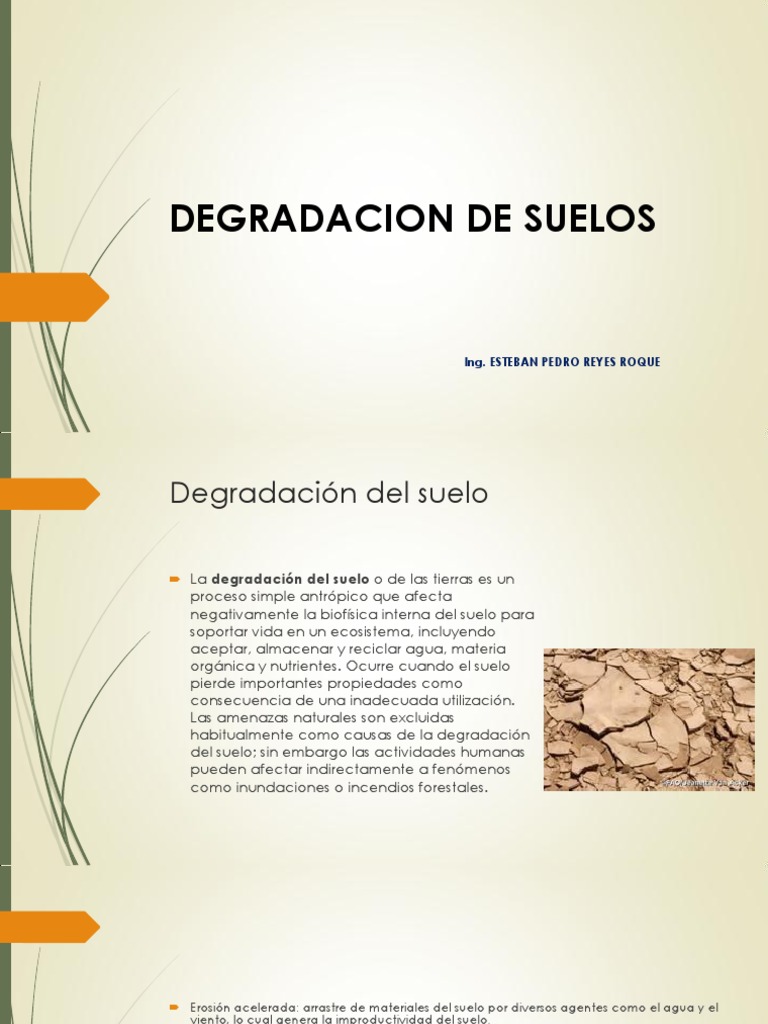Causas y Consecuencias de la Degradación del Suelo | PDF | Suelo ...