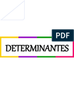 Classificação de permutações e cálculo de determinantes