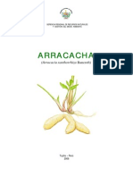 aracacha