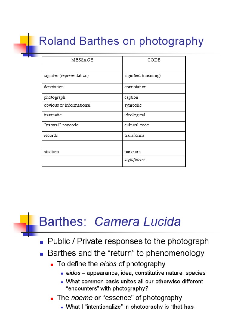 Punctum studium essay 08 image