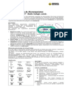 Guia de Microorganismos