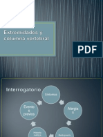 Extremidades y Columna Vertebral