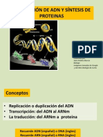 Adn y Proteinas