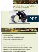 Boletín final berenjena 09_10.pdf