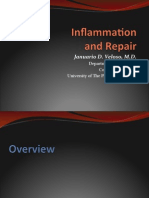 Inflammation and Repair Lecture 2014-15