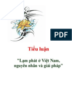 (Tiểu Luận) Lạm Phát ở Việt Nam - Nguyên Nhân & Giải Pháp