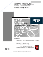 3 metabolismodeproteinas2012