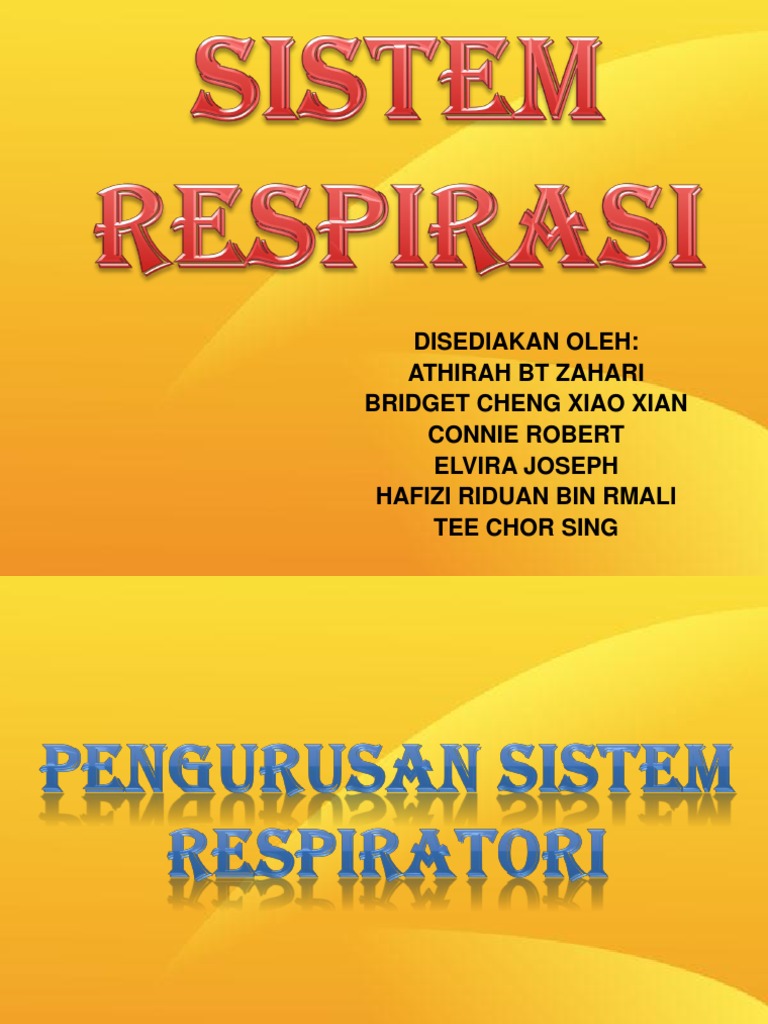 Sistem Respirasi | PDF