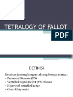 Tetralogy of Fallot 1
