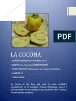 Informe La Cocona