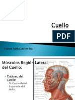 cuelloytorax-100826214935-phpapp01