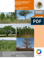 Especies Promisorias de Clima Tropical para Plantaciones Forestales Comerciales en Michoacán - H.