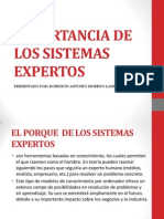 Importancia de Los Sistemas Expertos