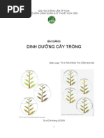 Download dinh dng cy trng by halloween_rock SN23707432 doc pdf