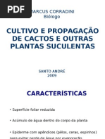 cactos e suculentas.pdf