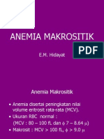 Anemia Makrositik