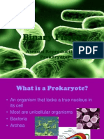 Binary Fission: Asexual Reproduction in Prokaryotes