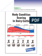 Body Condition Scoring