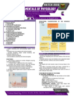 Central, Peripheral, Autonomic Nervous Systems