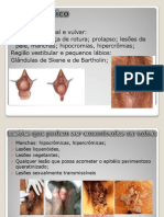 Papanicolau Diagnostico