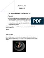 Informe de Meiosis3