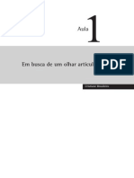 Em Busca de Um Olhar Articulado