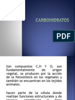 carbohidratos-100907232741-phpapp02