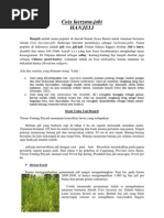 Download Kisah Petani Hanjeli by EkaNugraha SN237129945 doc pdf