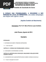 TCC- Apresentação (Defesa)