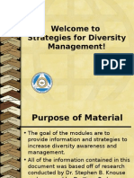 Welcome To Strategies For Diversity Management!