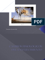 Clase 4 Cambios Fisiológicos Del Envejecimiento