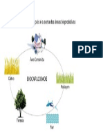 biocapacidade.pdf