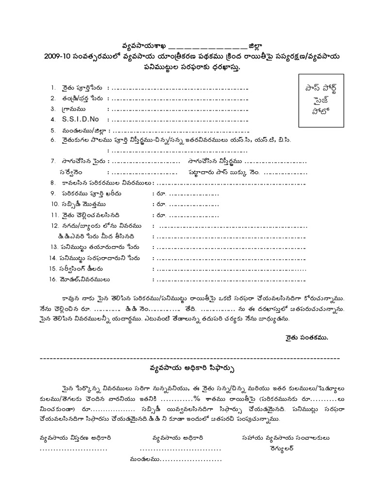 Document Structure and Guidelines | PDF