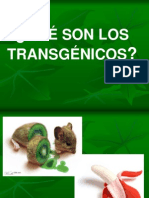 transgenico-1219640109902925-8