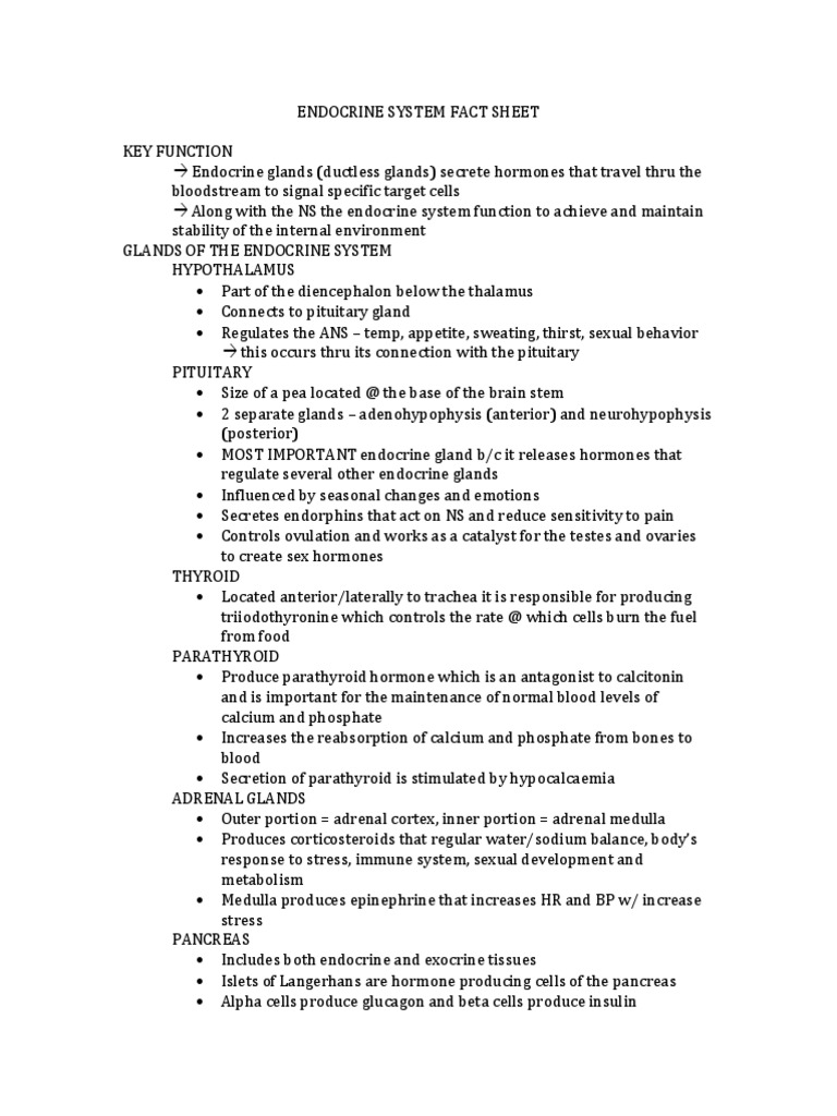 Endocrine System Fact Sheet | PDF | Endocrine System | Hormone